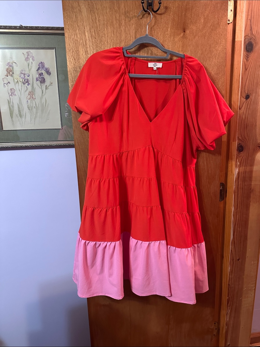 Entro Red and Pink Tiered Mini Dress with Puff Sleeves
